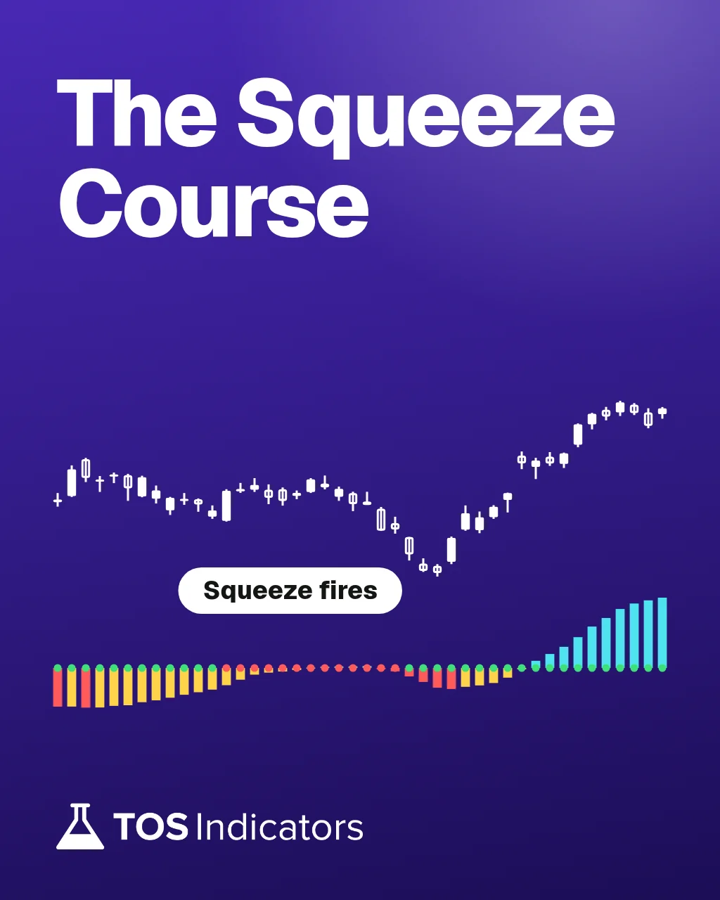 The Squeeze Course course cover