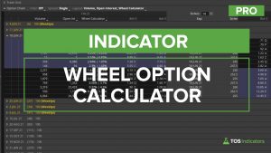 Wheel Option Calculator