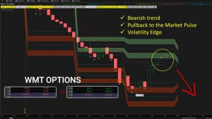 Walmart Stock Hourly Volatility Models